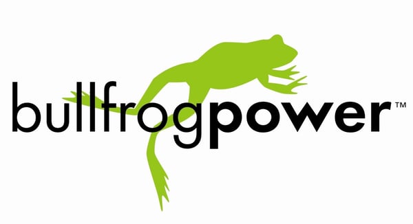 bullfrog logo.jpg